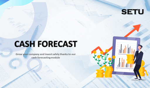 Cash Forecast User Guide